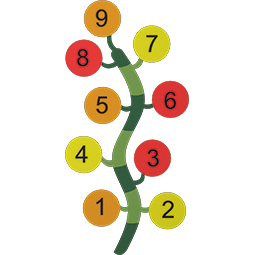 Plant With Numbers